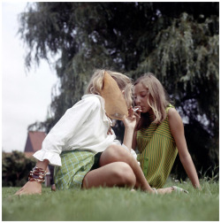 theswinginsixties: Teenagers smoking in the grass 1969. Photo by Henk Hilterman 