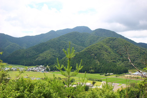 2020年 7月細川氏、畠山氏とともに室町幕府三管領家の一つであった斯波（しば）家。室町時代に越前の守護であったこの斯波家が築城した城跡が残る武衛山（ぶえいざん 標高321m）に登ってきました。山名の