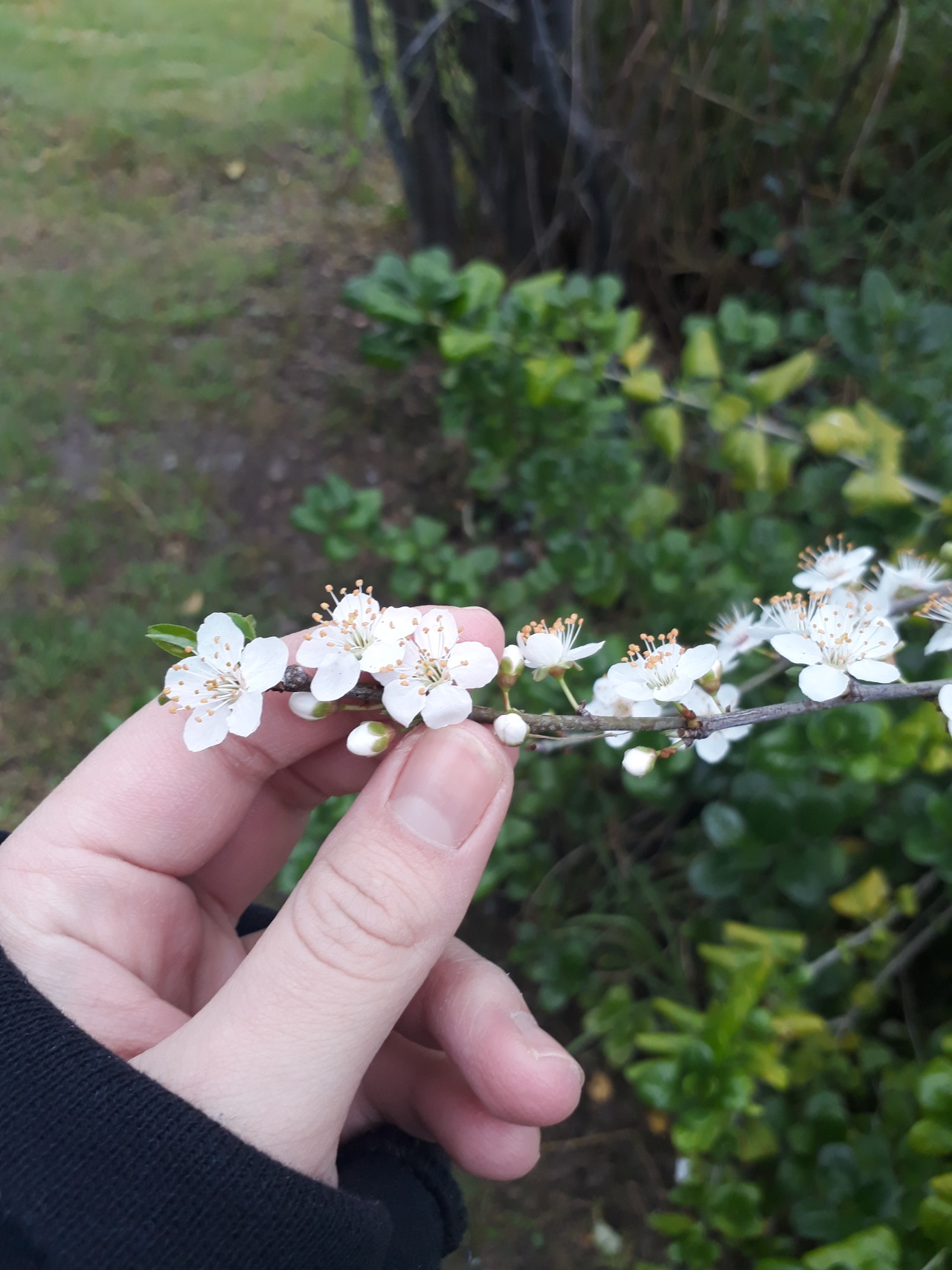 un-invierno-eterno:  “Para amar, aprende amar tu entorno natural y a ti mismo.