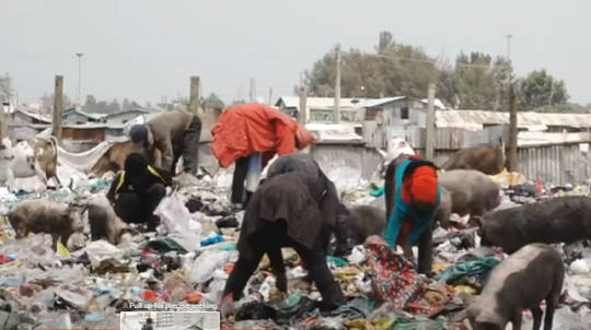 13-Year-Old Girl Forced to Work in a Dumpsite to Support Family's Education Expenses