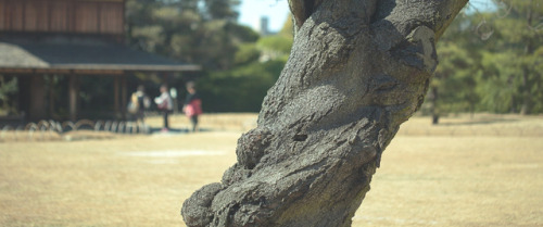 岡山後楽園