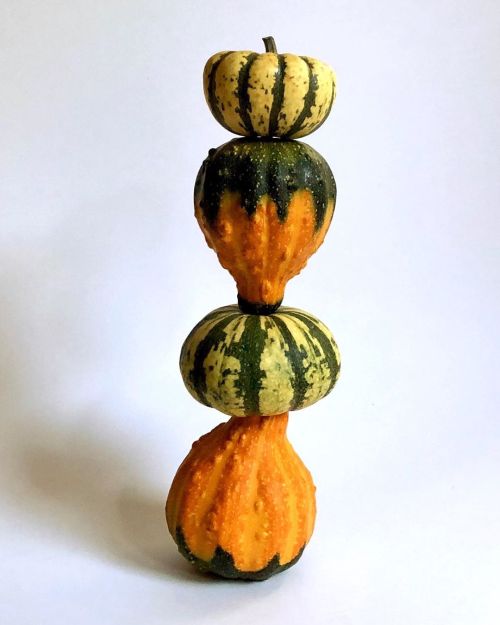 . stack 29 October 2019 . #gourds #squash #stack #balance #giftfromthemethowvalley #maplereach #tual