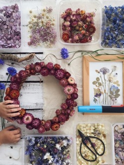 too-hot-to-hoot:Pressing fresh-cut flowers and some of the things you can do with