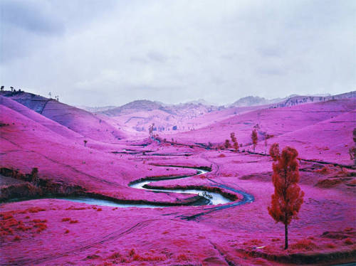 landscape-photo-graphy:The Stunning Pink Landscape of the Congo by Richard MossePhotographer Richard