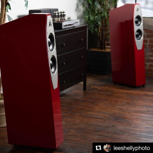 Emma EVO.Via @leeshellyphoto ・・・ Eggleston Works Emma EVOultion speakers. #hifi #audiophile #audio