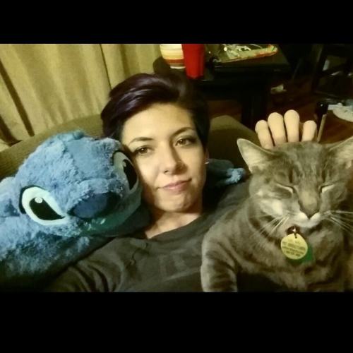 Cuddles with Rafael and Stitch are the best 💞🐈 #cuddles #kitty #pillowpet #stitch #cat #rafael