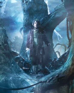 thorinds:  Official tapestry for The Hobbit: The Desolation of Smaug (X) 