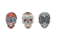 Memorizes:  Transparent Skulls  