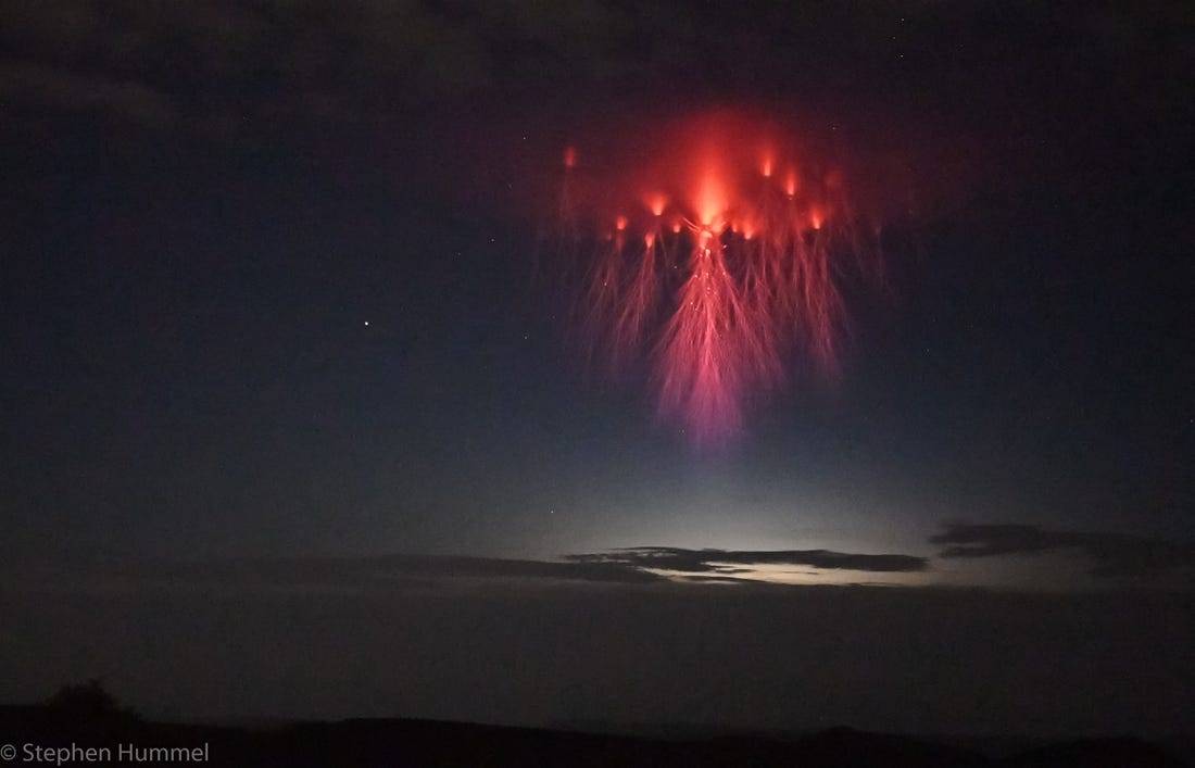 unexplained-events:
“Jellyfish Sprite
Red sprites or the tentacle-like spurts of red lightning in the sky during a storm are sometimes referred to as Jellyfish Sprite (because of their shape). There are also some that are vertical columns of red...