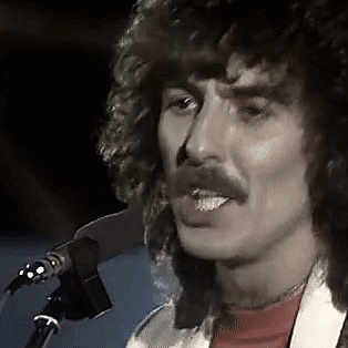 George Harrison (1977) 