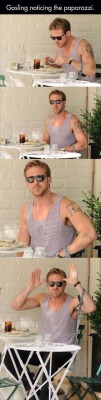boys9999:  I want a Gay Version of Ryan Gosling