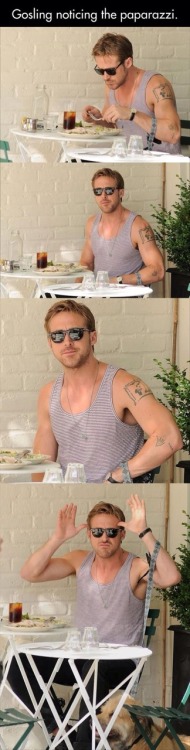 Porn boys9999:  I want a Gay Version of Ryan Gosling photos