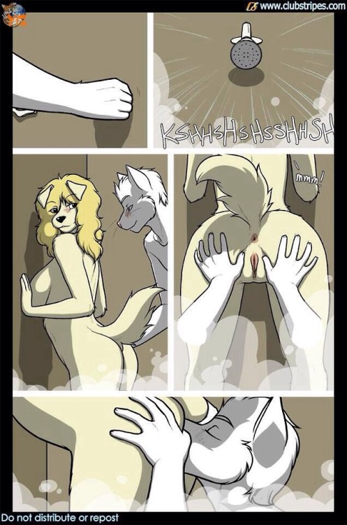 monoply5:  Shower sex for lil-fae It’s not the whole comic, but it’s the shower part