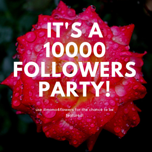 Hey friends! Today I’ve hit the 10000 followers !So first of all, THANK YOU! THANK YOU! THANK YOU!