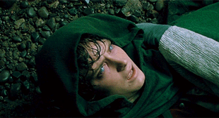 frootforce:Who would’ve thought one so small could endure so much pain?