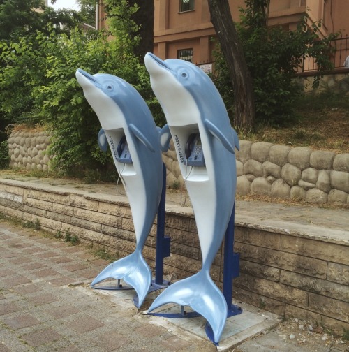 youneedone2: Dolphin phones by Marc Bruix Bonet