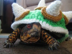 pxlbyte:  Crocheted Bowser Sweater It makes