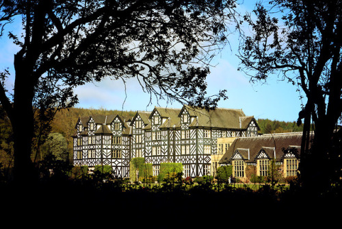 bydbach:lle gorau yn y byd yw neuadd gregynog un bore sadwrn yn y gwanwyn. rhan iv.