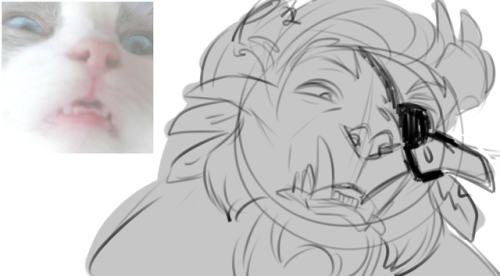 guildwuff2: cat memes?? with charr??? never been done