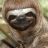 thedeadofme:  I have figured out why I don’t have friends.I barely leave the house.I