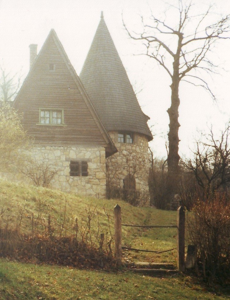 moon-sylph:  ☽ ⁎ ˚ * ☀ Transylvanian forest ✵ ⁎ * ☾ 