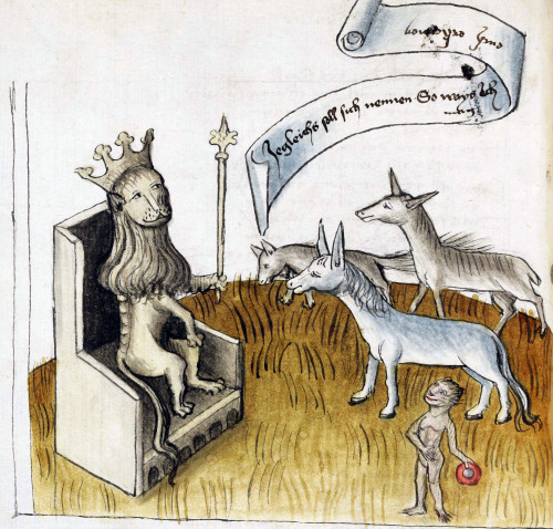 discardingimages: the lion kingHugo von Trimberg, Der Renner, South Tyrol 1468. Cologny, Fondation M