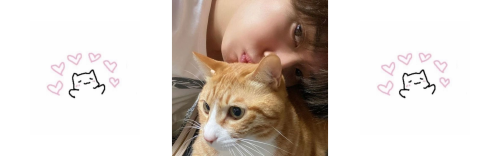 Of Cats And Men