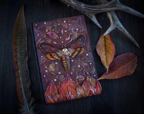 Moth Journal //EllenRococo