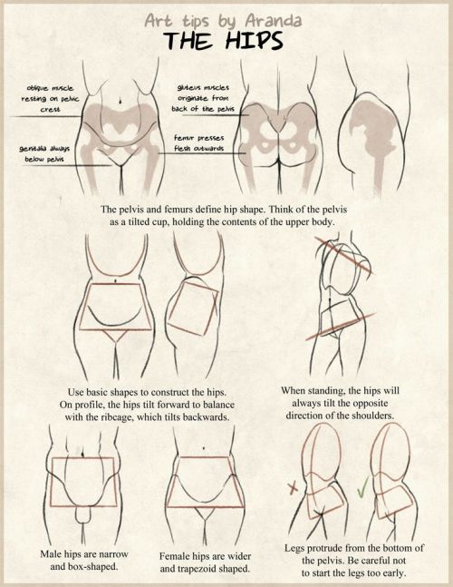 anatoref: How to Draw a Damn Fine AssTop Image, Row 5 & 6Row 2:  Drawing People by Barbara Bradley  Row 3Row 4Row 5Bottom Image