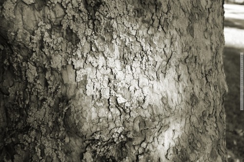 whereisthepoetry - Where is the poetry?