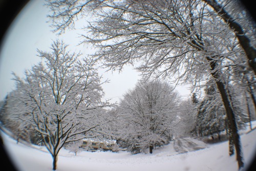 xochic:  shoveling <