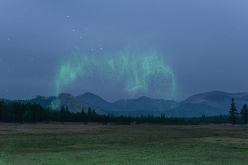 lafilleblanc:  Inka & Niclas Lindergård Becoming Wilderness, 2013-2014 
