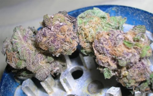 fuckitol420.tumblr.com/post/110621150134/