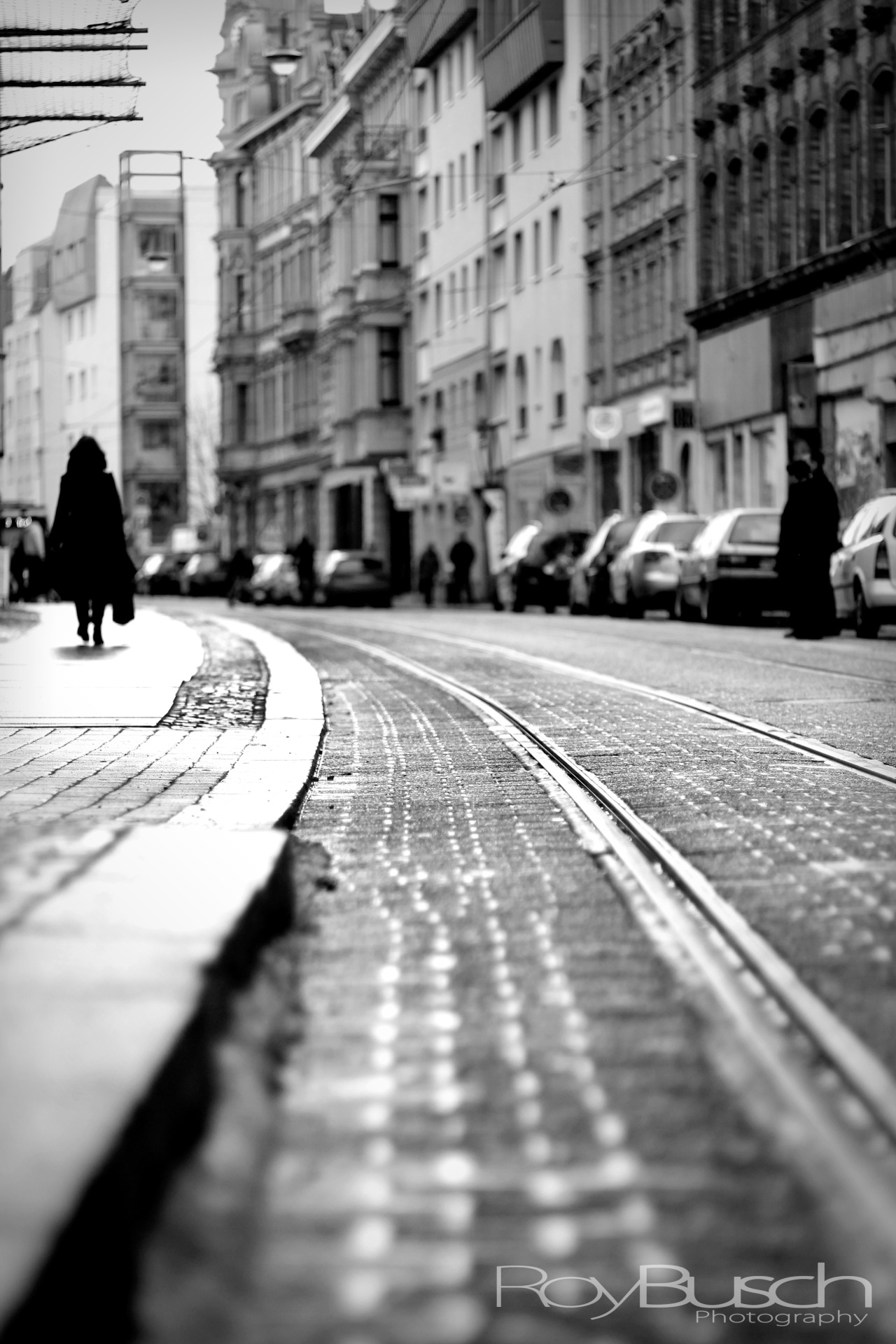 Roy Busch Photography