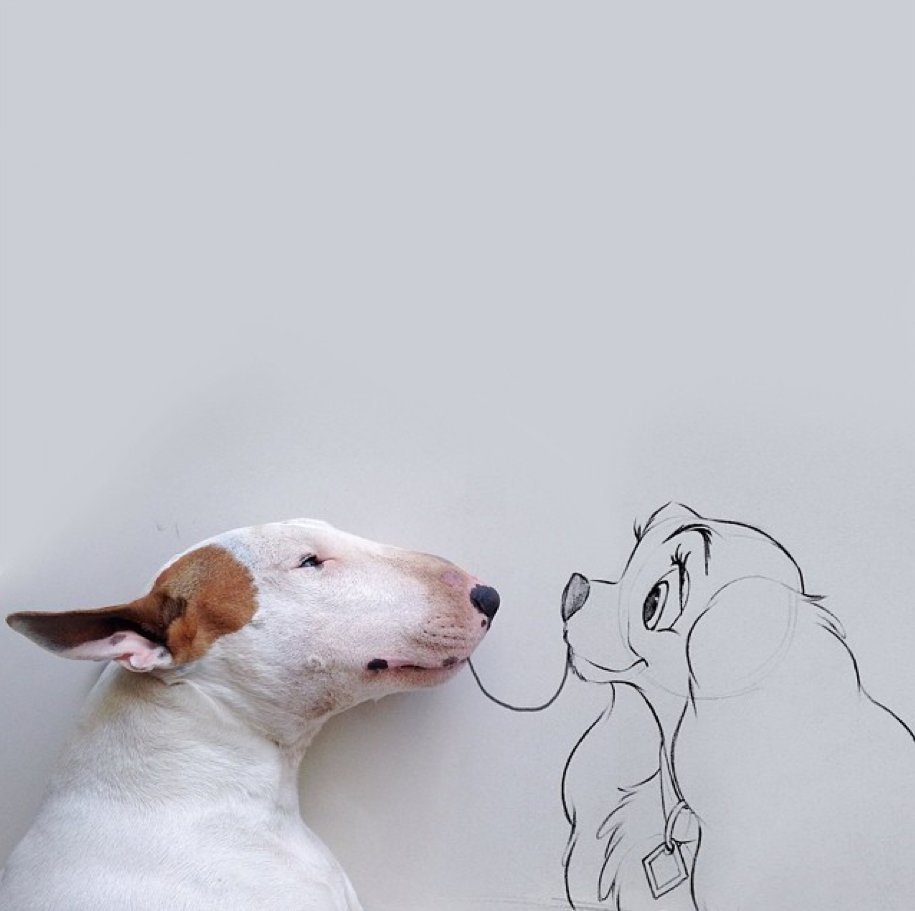 huffingtonpost:Dog Owner Draws His Bull Terrier Into The Kind Of Adventures A Dog
