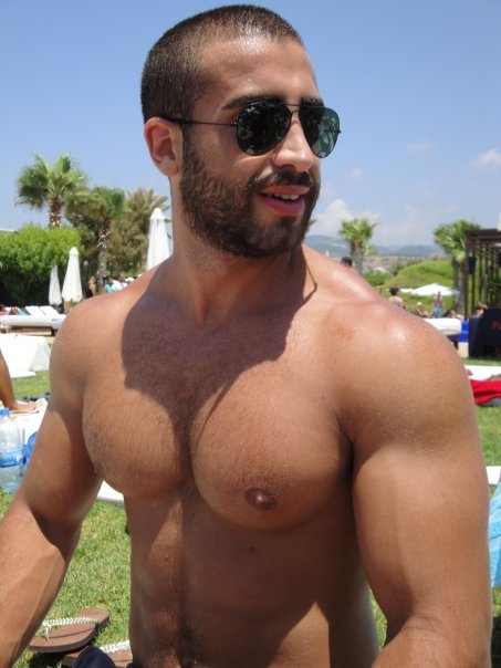 oxyparis:  Pecs