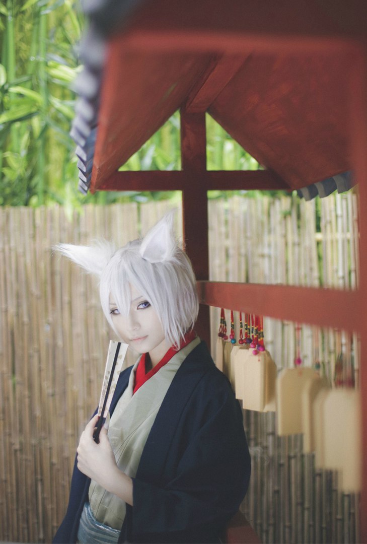 peachmashiro:    Kamisama Hajimemashita  