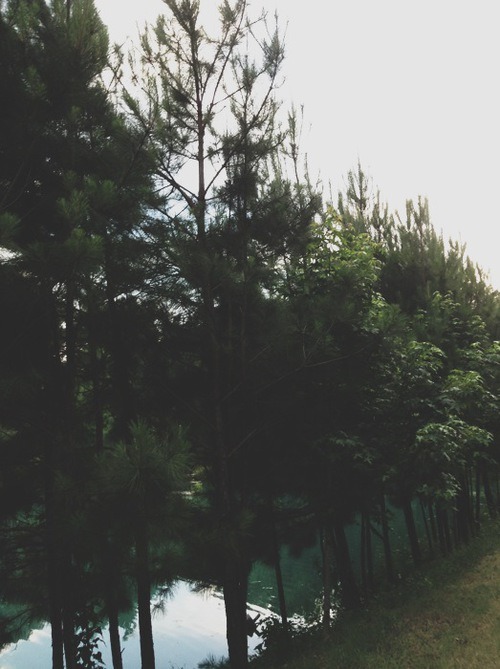 bvddhist:  upclosefromafar:  ~My Hidden Nirvana~  