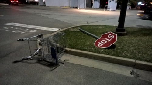 a-fragile-sort-of-anarchy:  a-fragile-sort-of-anarchy: Something horrible happened here. This wasn&r
