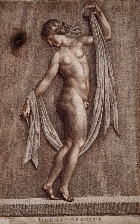 arsenal-le-comte:Francesco Bartolozzi (after Giovanni Battista Cipriani) - Hermaphrodite (1787).