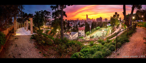 Colors Of Eden by Nadav Yacobi Ramat Gan, Israel