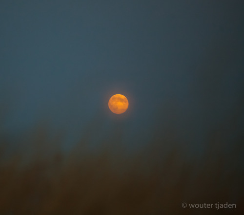 Moonrise last night Meyer Orestegor 200 F4 MF - Canon 5D