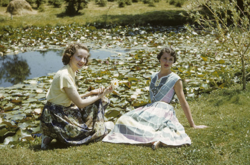 yesterdaysprint:Experimental Farm, Summerside, Prince Edward Island, July 1952