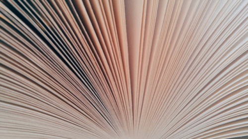 bvkspine:  “As the hours crept by, the afternoon sunlight bleached all the books on the shelves to pale, gilded versions of themselves and warmed the paper and ink inside the covers so that the smell of unread words hung in the air.” - Maggie Stiefvater 