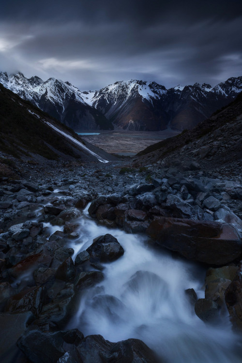 Moody Nuns by Dylan Toh.