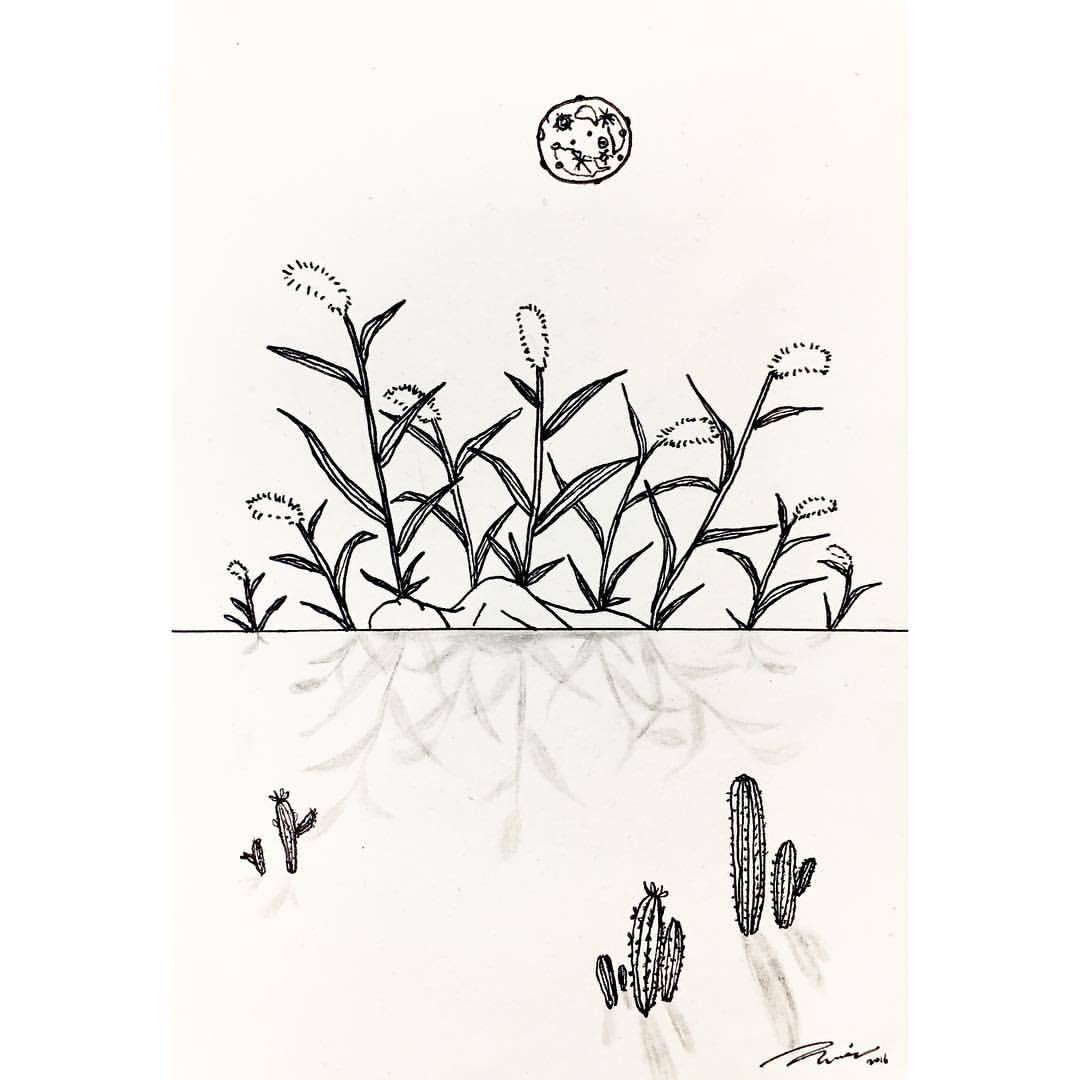 🌕🌿🌵 – @artist-naeun-blog on Tumblr