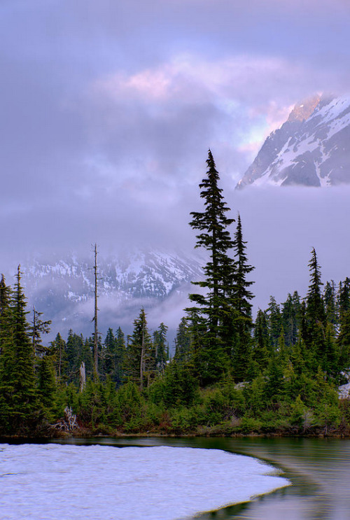 coiour-my-world:“Enduring Winter" North Cascades National Park, Washington, USA ~ by Chad Dutso