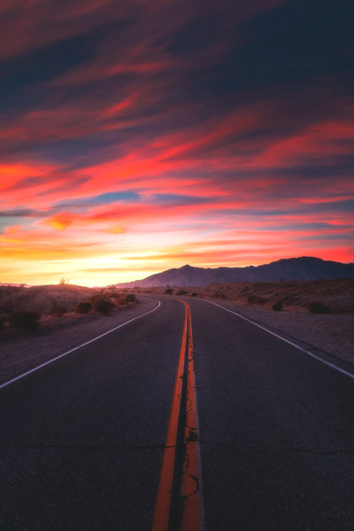 lsleofskye:  "The Highway of Colours"  | calibreusLocation:  Anza Borrego Desert State Par