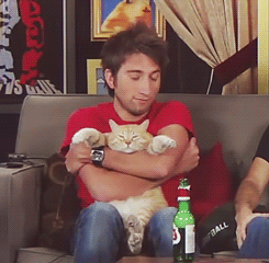 castielsrealwingman:  How different achievement hunters treat animals 