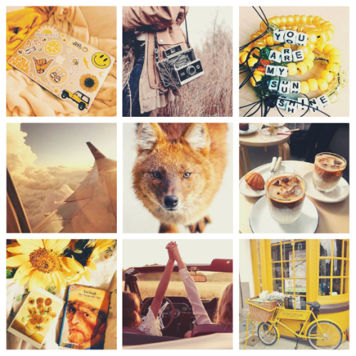 firstaesthetics:daemon moodboard » dhole for @rocketfoolA dhole soul is an extrovert who thrives aro